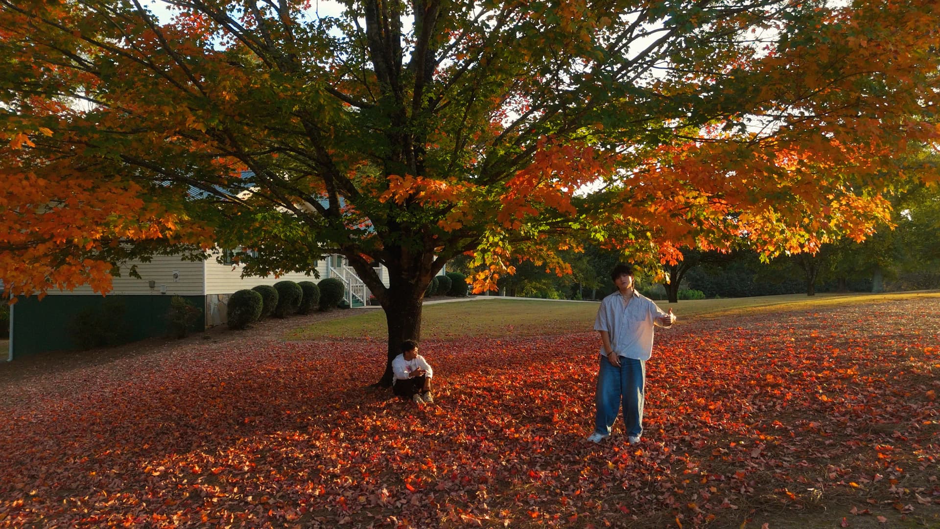 Short-form clip from Sam Suen's autumn shoot